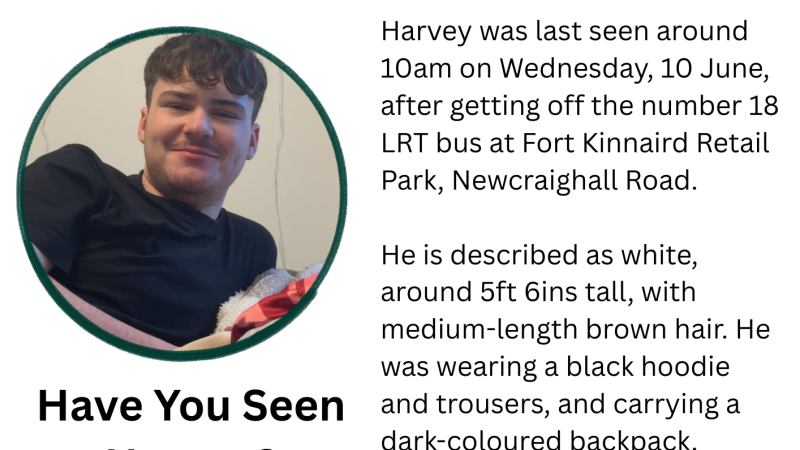 Harvey (20)